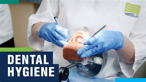 dcc dental hygiene program