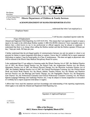 dcfs illinois mandated reporter form