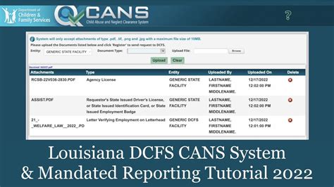 dcfs mandated reporter portal