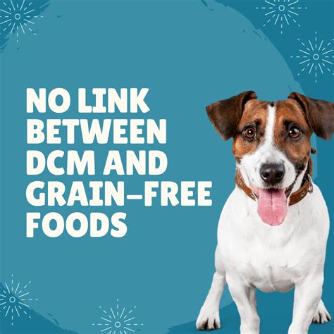 dcm grain free food
