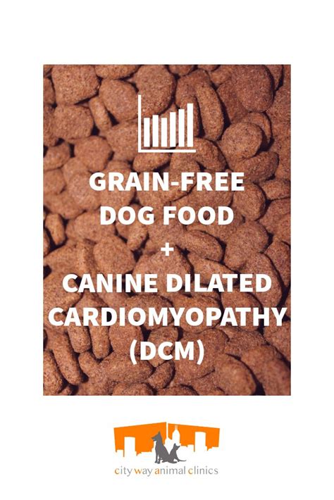 dcm in dogs grain free