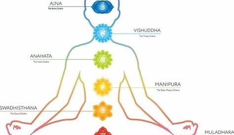 Qué es el kundalini yoga: activa tus chakras - The Class Yoga