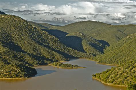 de la sierra morena