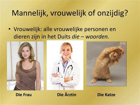 de of het mannelijk of vrouwelijk