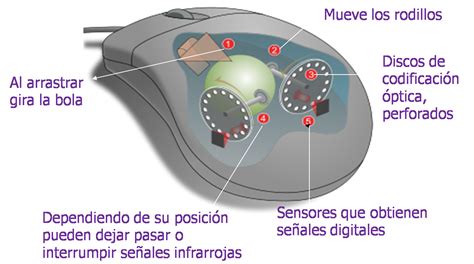 de que esta hecho un mouse