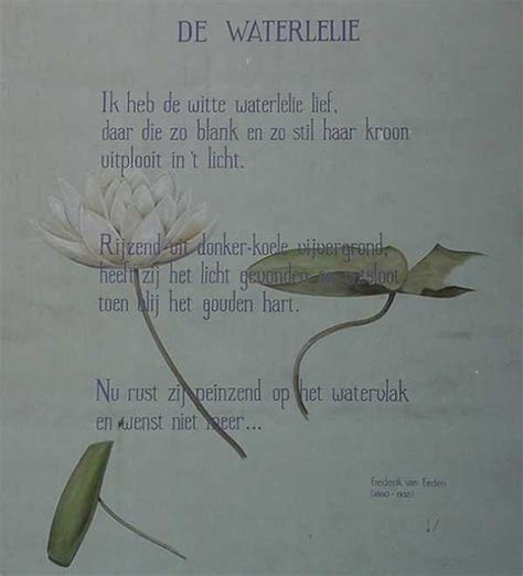 de waterlelie frederik van eeden