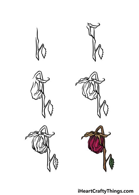 Dead Flower Drawing Easy