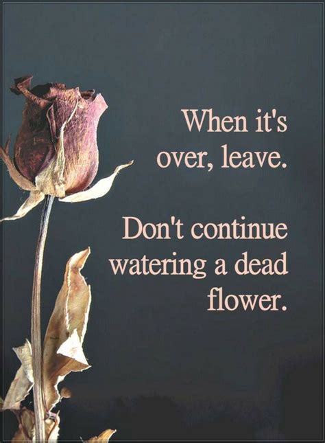 Dead Flowers Quotes