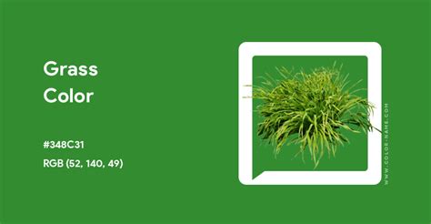 dead grass hex code