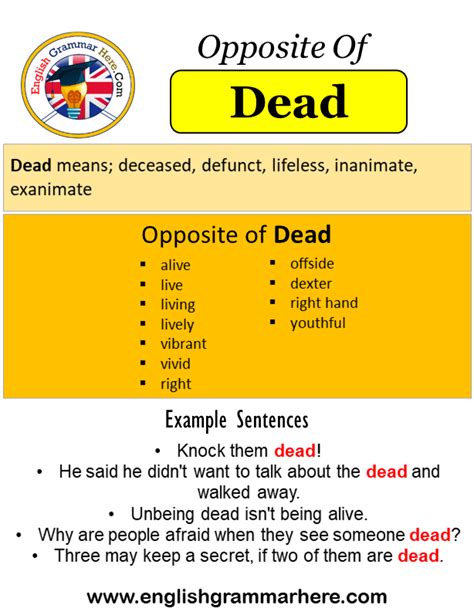 dead meaning in english with example
