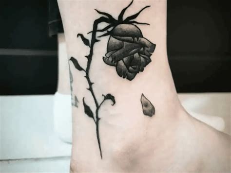 Dead Rose Tattoo Pics