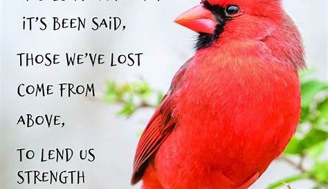 Death Poems Birds Poetry Quotes QuotesGram