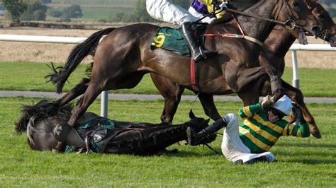 death of horses at races