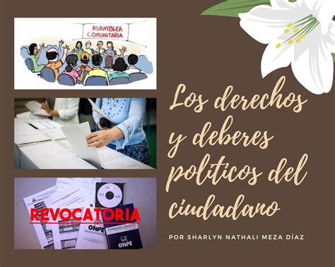 deberes políticos de los ciudadanos