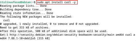 debian sudo curl command not found