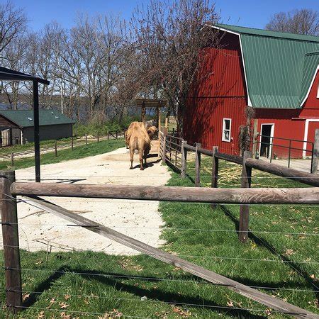Decatur Zoo Hours