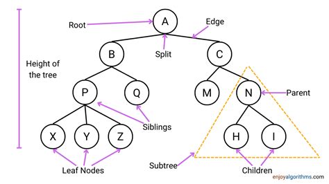 decision tree algorithm in machine learning with example
