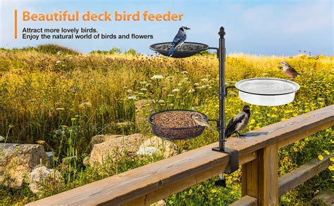 deck bird feeder