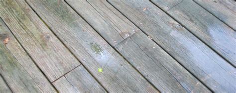 Deck Mildew Cleaner