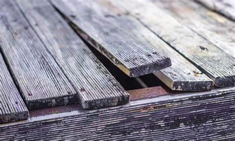 Common Deck Repair Problems