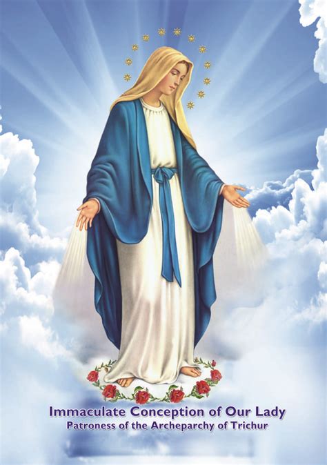 declaration of the immaculate conception