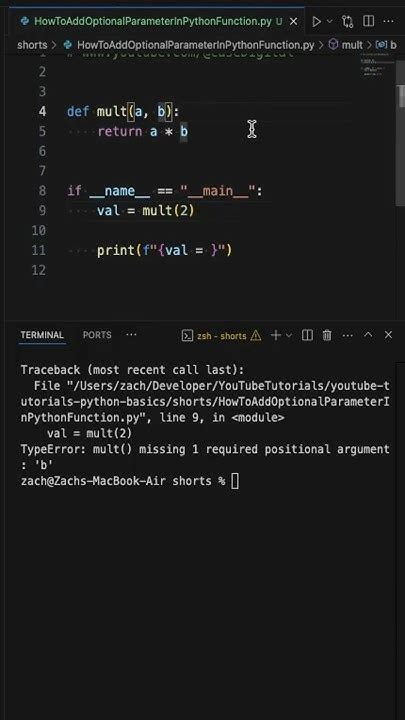declare optional parameter in python