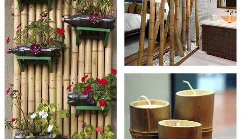 Que faire avec des bambous trouvailles exotiques en 60