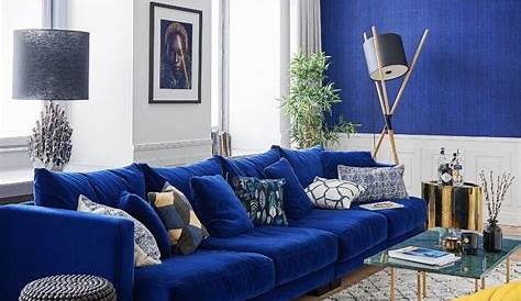 Deco Interieur Bleu Marine Salon Contemporain Dans Les Tons Avec Canapé