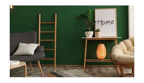 Chambre vert sapin 18 idées déco tendance et inspirantes