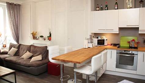Idee Deco Petit Salon Cuisine Ouverte Home Decor Baskets Kitchen Bar Design Galley Kitchen Layout
