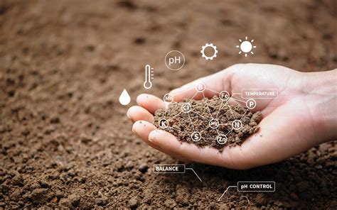Decoding Soil Mechanics