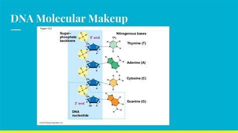 Decoding the Molecular Makeup