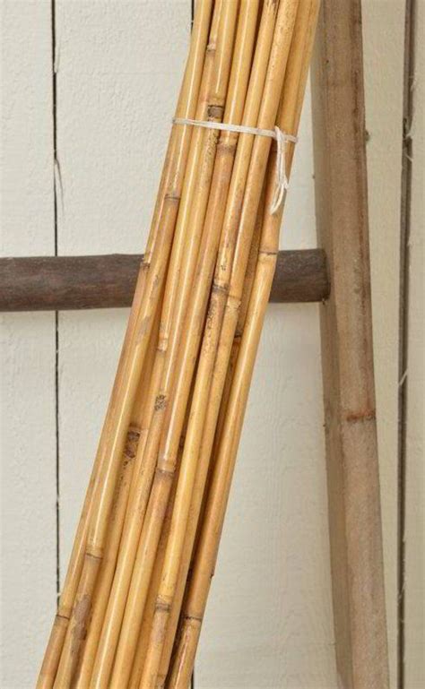 Decor Cane Pole