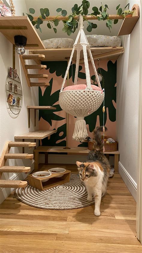 decor for cats