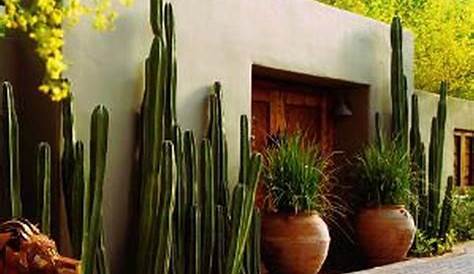 Jardines Con Cactus Piedras Planos Decoracion Modelos