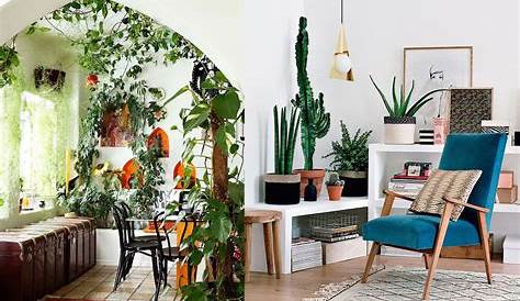 17 ideas para decorar tu sala de estar con plantas en esta primavera