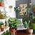 decorate living room with indoor plants