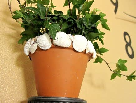 Decorating Plant Pots With Shells