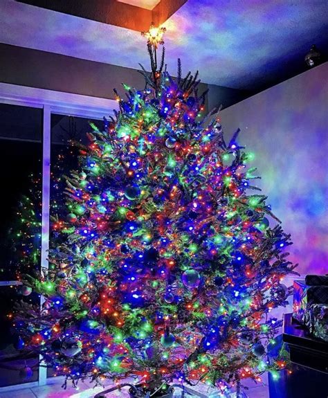 Decorating Tree With Colored Lights