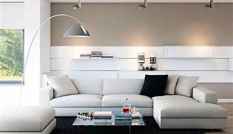 Déco moderne pour le salon 85 idées avec canapé gris