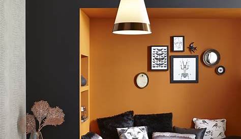 Decoration Salon Orange Et Gris Idée Déco Petit Maximiser L’espace à L’aide D’accents