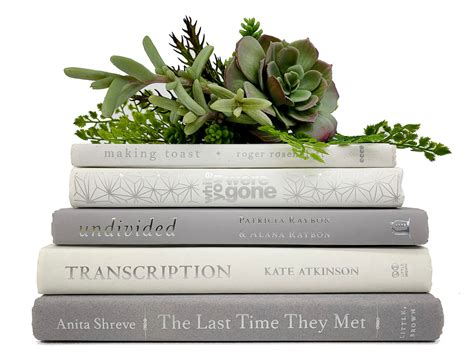 Decorative Books Gray