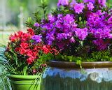 Decorative Containers Puzzle