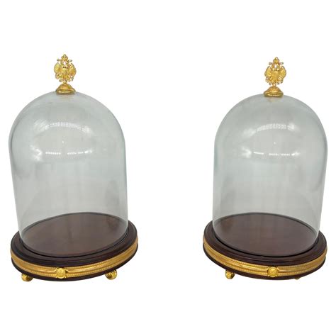 Decorative Display Domes