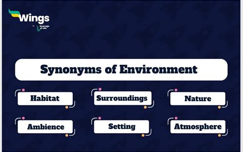 Decorative Environment Synonym