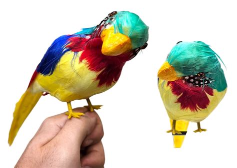 Decorative Feathered Parrot