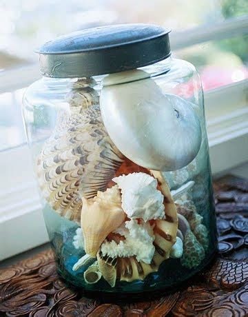 Decorative Jar For Shells
