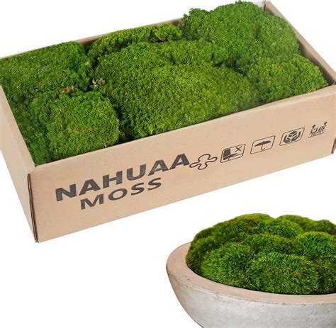 decorative moss for potted plants