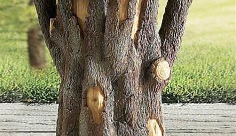 Que faire avec un tronc d’arbre coupé pour la décoration