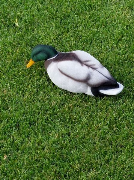 Decoy Flocking Supplies